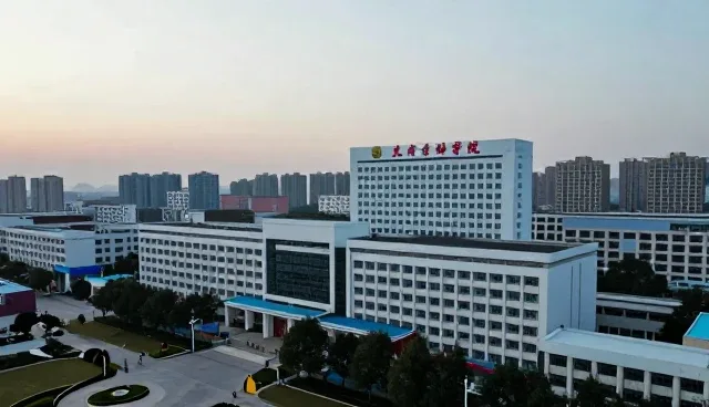 在哪里可以做网站:信息管理平台的选择与实践